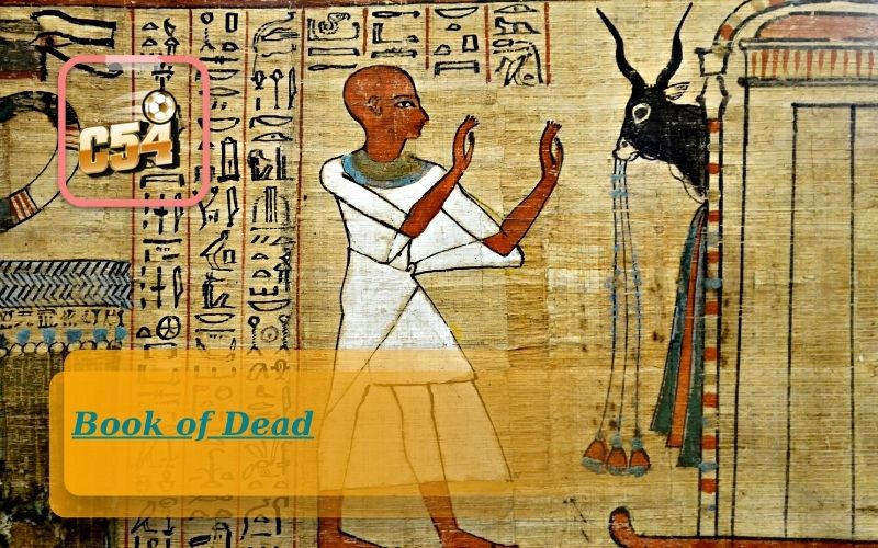 Thử Vận May Với Slot Book Of Dead Cùng C54