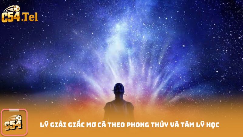 Lý Giải Giấc Mơ Cá Theo Phong Thủy Và Tâm Lý Học