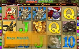 C54 Ra Mắt Big Bass Splash Big Win