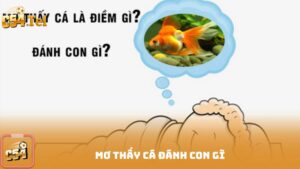 Mơ thấy cá đánh con gì