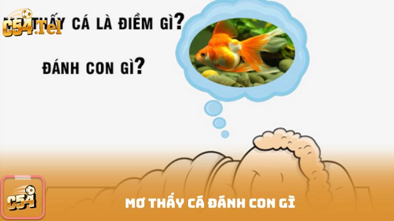 Mơ thấy cá đánh con gì