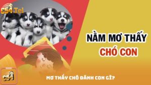 Mơ Thấy Chó Đánh Con Gì