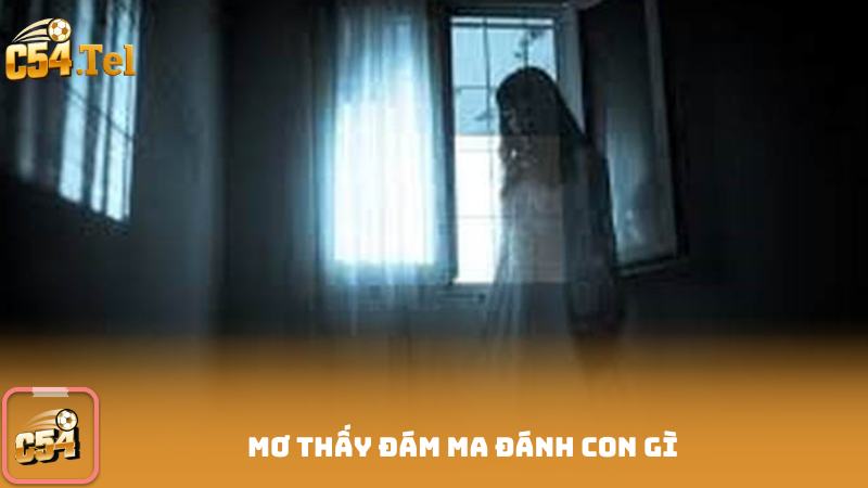 Mơ Thấy Đám Ma Đánh Con Gì