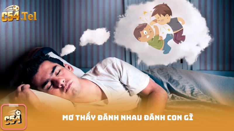 Mơ Thấy Đánh Nhau Đánh Con Gì