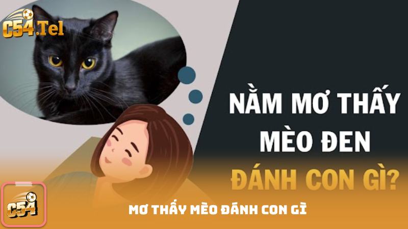 Mơ Thấy Mèo Đánh Con Gì