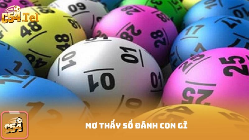 Mơ Thấy Số Đánh Con Gì