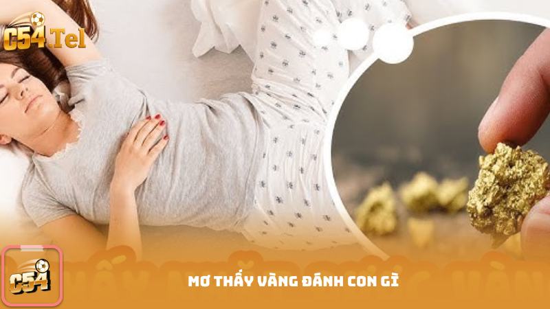 Mơ Thấy Vàng Đánh Con Gì