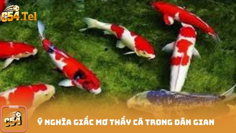 Ý Nghĩa Giấc Mơ Thấy Cá Trong Dân Gian